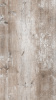 SHTEINSVETLIIU1159