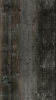 SHTEINTEMNIIU1160