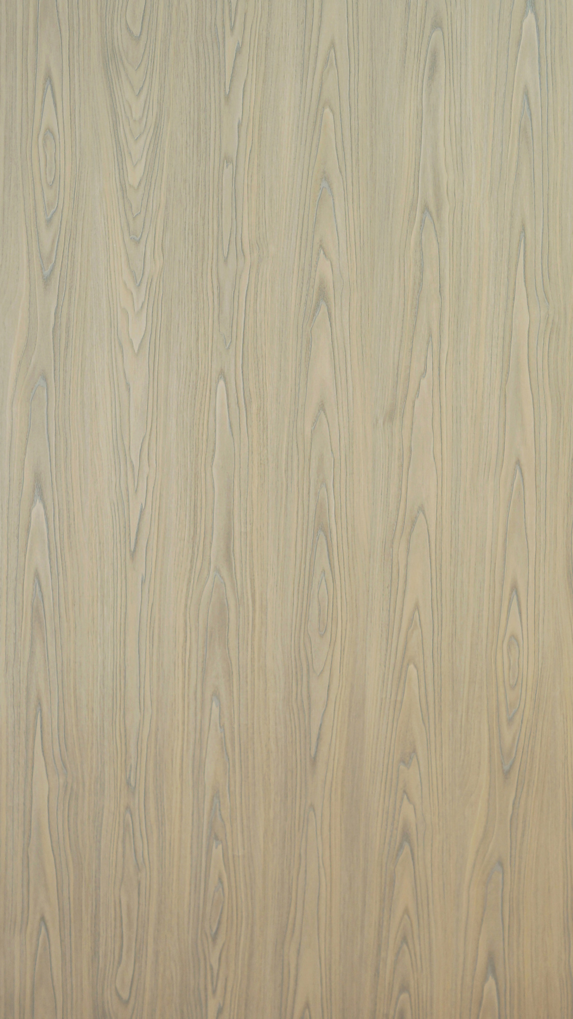 Швейцарский кедр седой (LW 703-2)