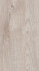 Дуб Монтерей 384 - Oak  Monterey 384