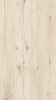 GASKONPAINSVETLIIU31172