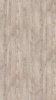 jqpdm61y8cst004urb6tjc2wb2dtrlcn (1)